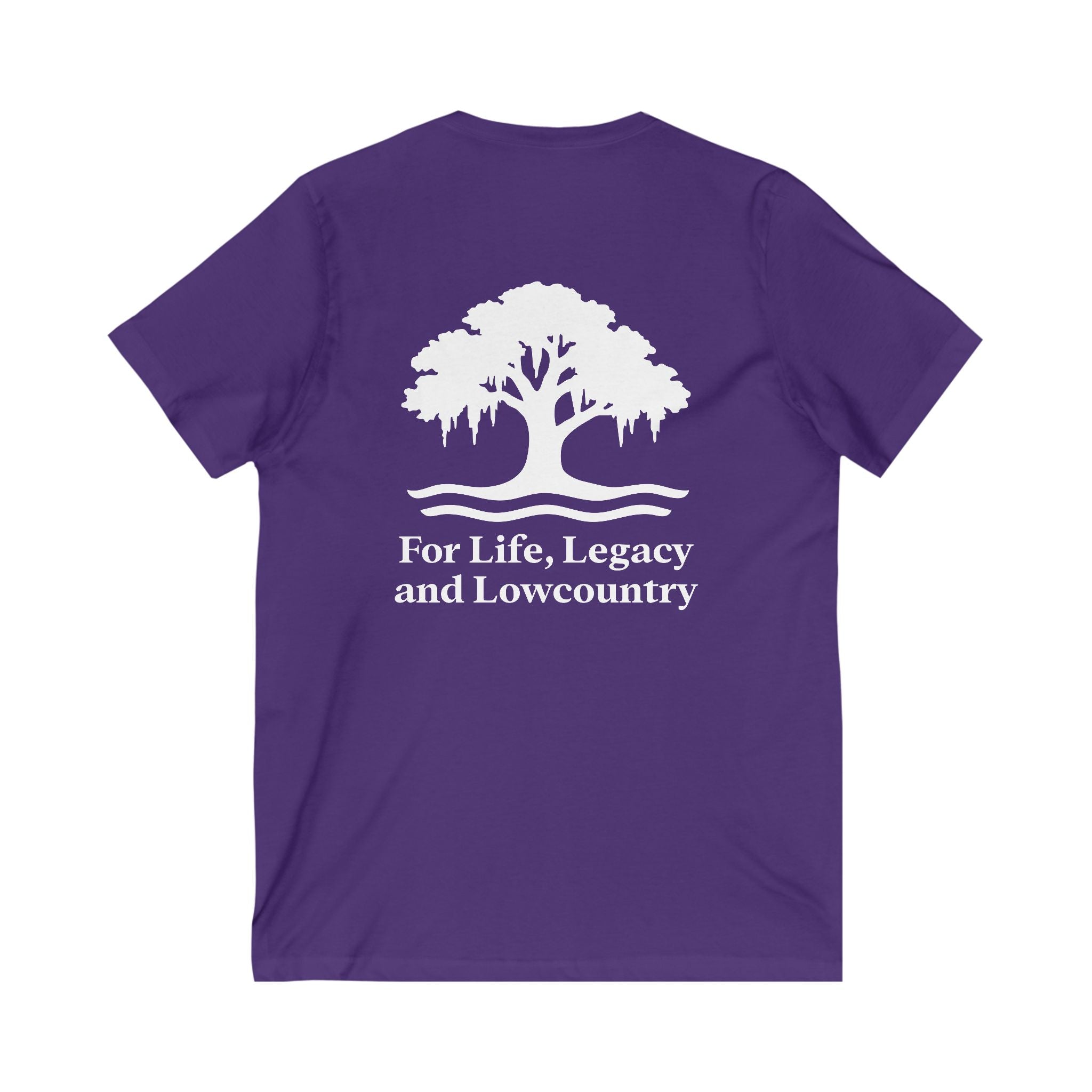 Palmetto Relaxed V-Neck Tee