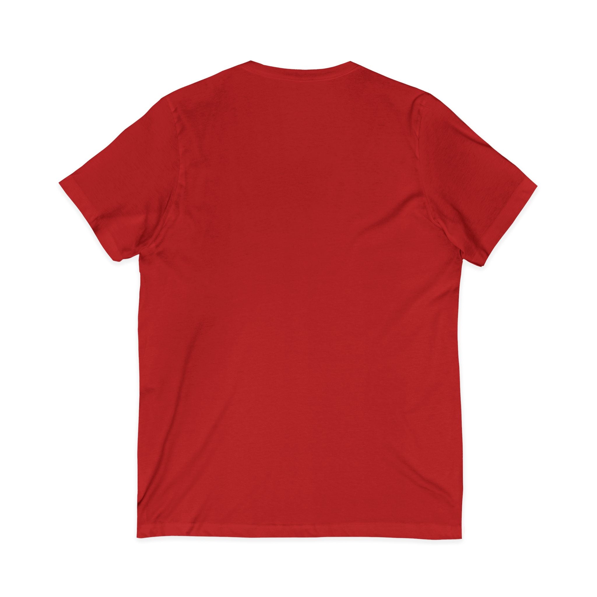 Palmetto Relaxed V-Neck Tee