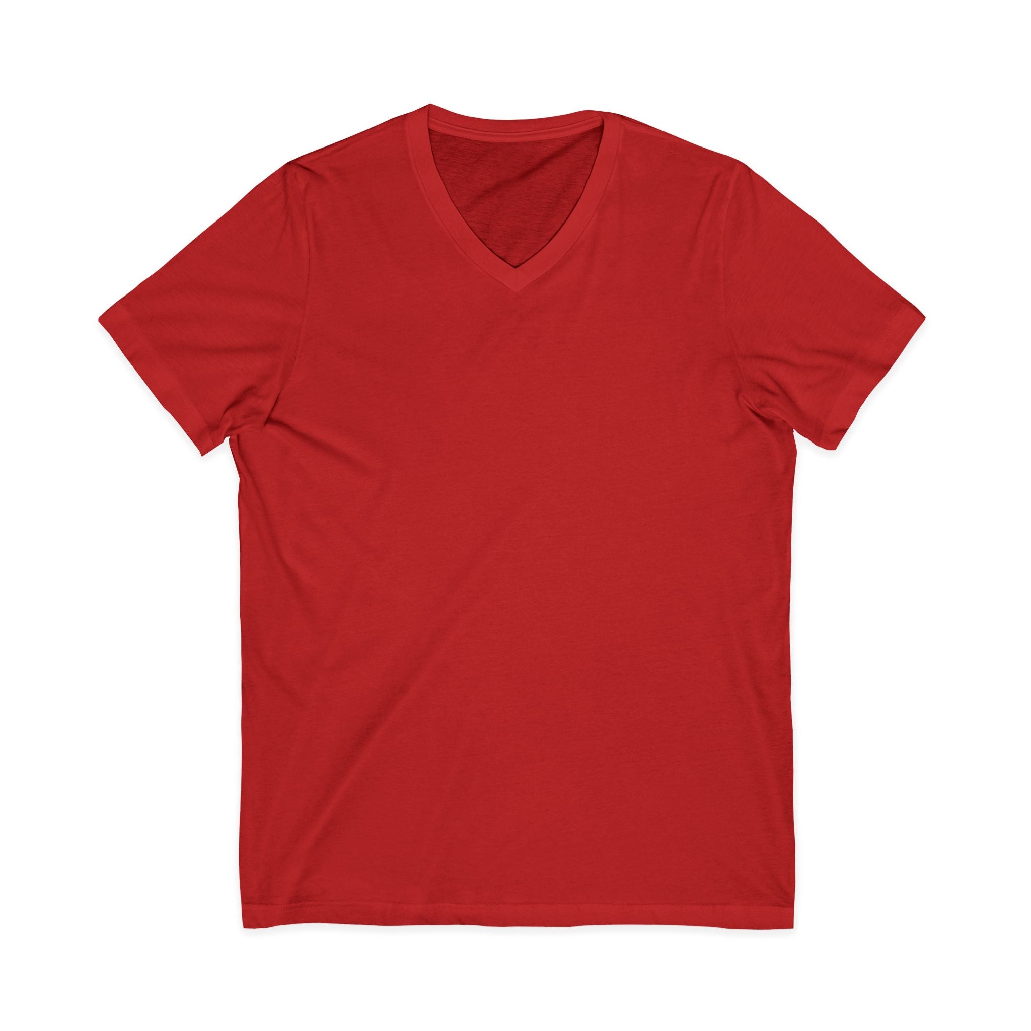 Palmetto Relaxed V-Neck Tee