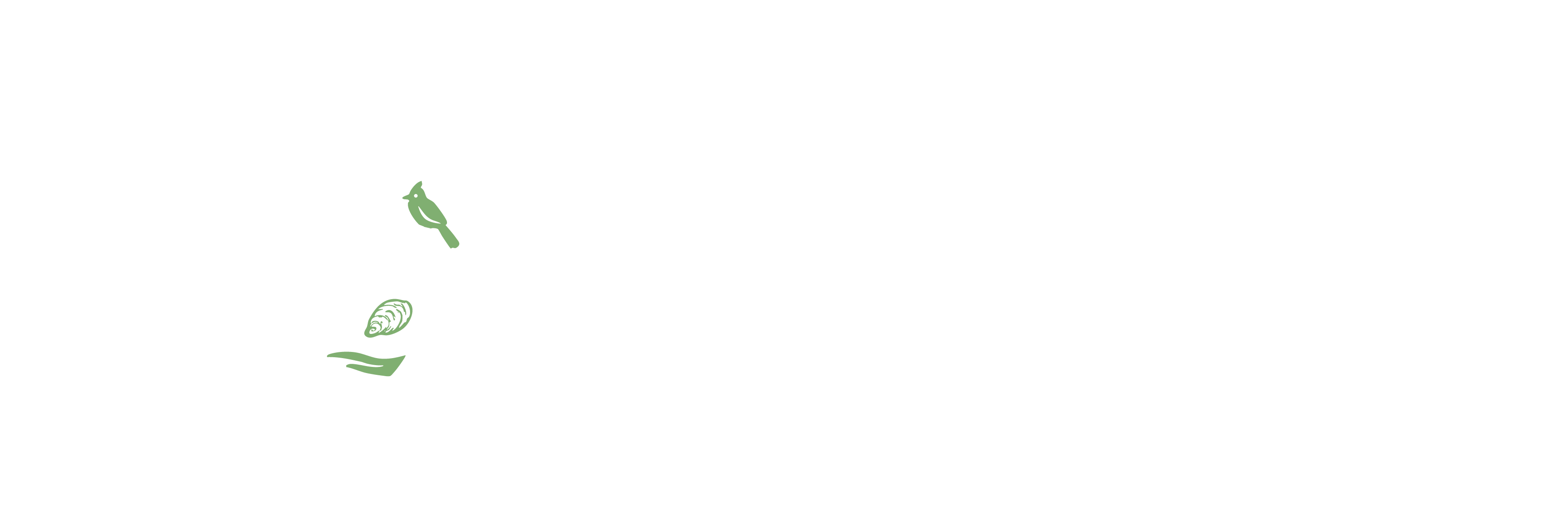 Beau Threads LLC